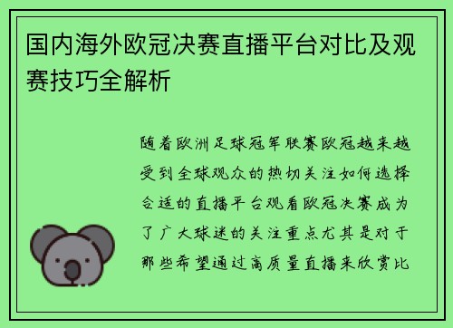 国内海外欧冠决赛直播平台对比及观赛技巧全解析