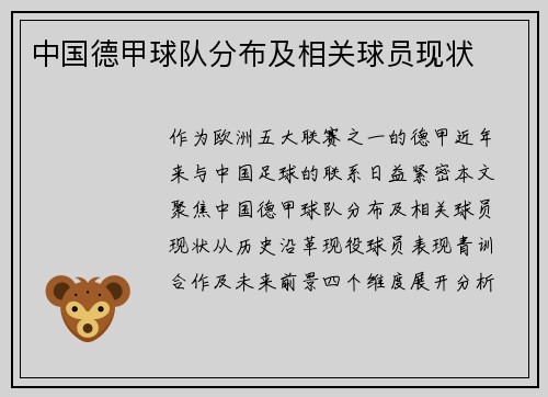 中国德甲球队分布及相关球员现状